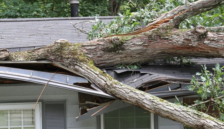tree-slices-house Emergency Roof Repair Conroe